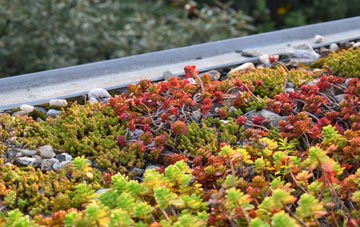 the cost of Bucks Cross green roof installation