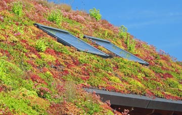 Bucks Cross living roof systems